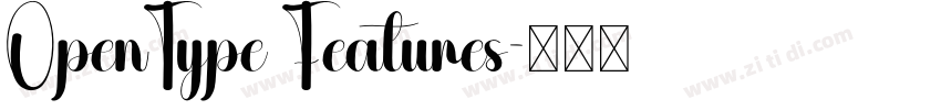 OpenType Features字体转换